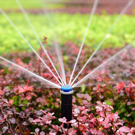 sprinkler-watering-plants