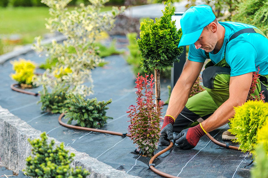 installing drip irrigation system in planter bed