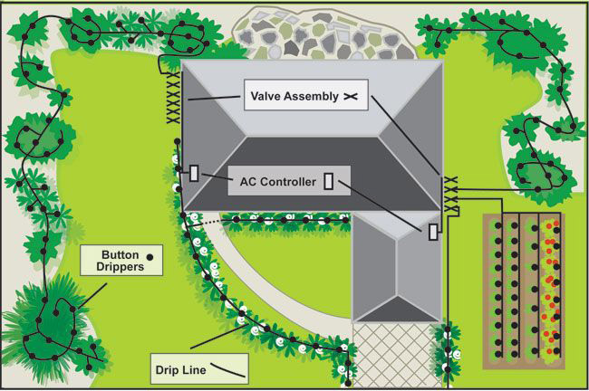 Drip Irrigation Diagram