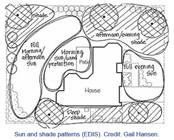 Landscape Design Considerations sun and shade patterns