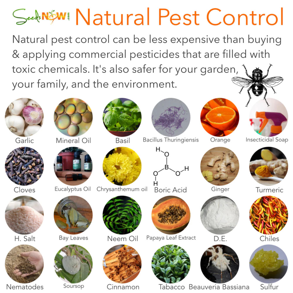 Seed now natural pest control
