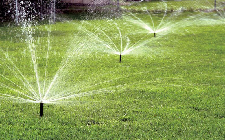 watering lawn