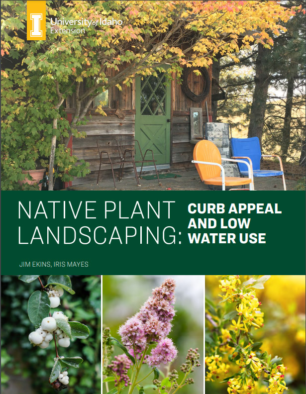 Native Plant Landscaping